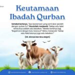 Keutamaan Ibadah Qurban Dahsyatnya Keutamaan Ibadah Qurban bagi Dunia dan Akhirat